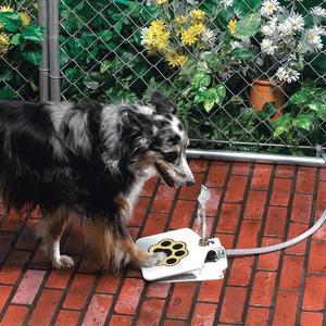 Secure-IT🔐 Outdoor Fresh-Flow Step-Activated Pet Water Fountain