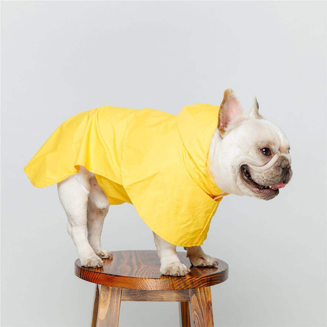 Secure-IT🔐 High-Visibility Waterproof Essential Pet Raincoat